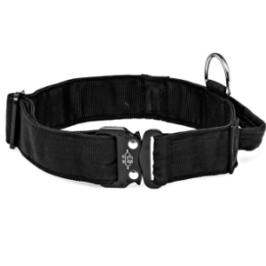 canine 50mm web collar with handle: small