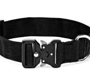 canine 38mm web collar metal qr: small