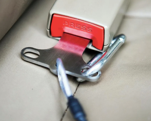 bushveldt smash & snatch buckle: