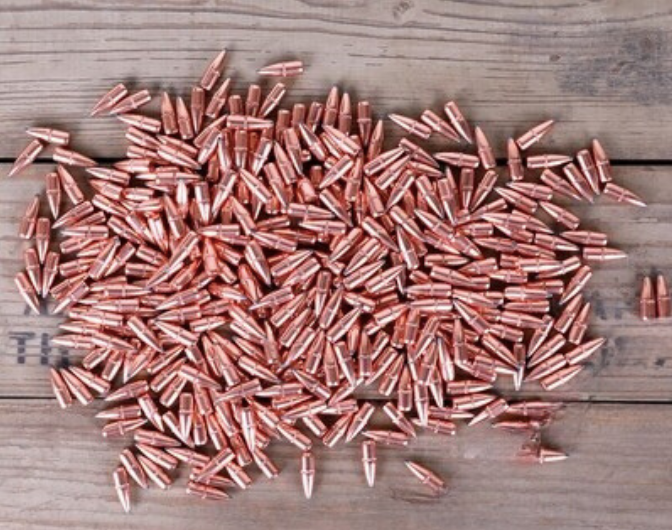 55gr hornady 5.56 soft tip: 500