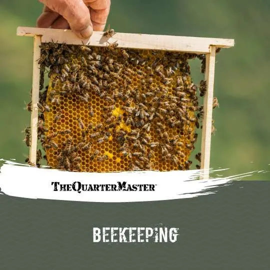 beekeeping 640w